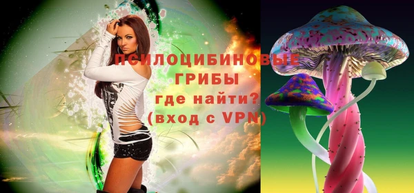 a pvp Володарск