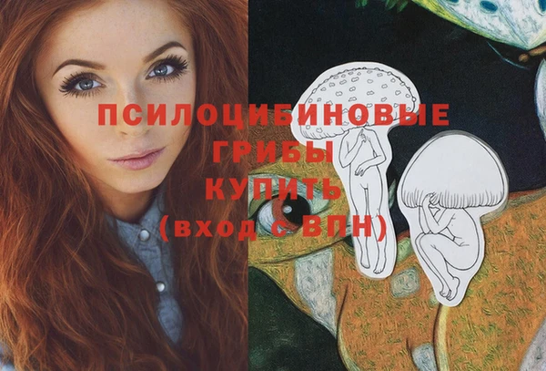 трава Верхнеуральск